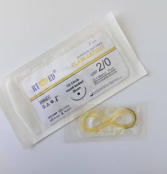 Raw sheep casing raw material handled prior to further medical processing